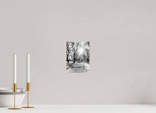 15 x 20 cm, Monochrom, Alu-Dibond, glänzend Winterlicht