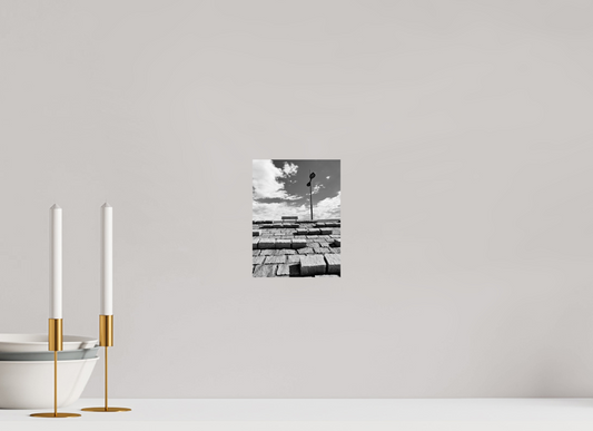 15 x 20 cm, Monochrom, Alu-Dibond, glänzend Symbiose