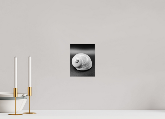 15 x 20 cm, Monochrom, Alu-Dibond, glänzend Pure Beauty