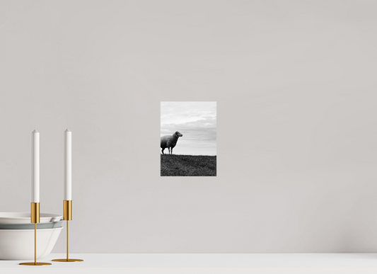 15 x 20 cm, Monochrom, Alu-Dibond, glänzend Alles im Blick