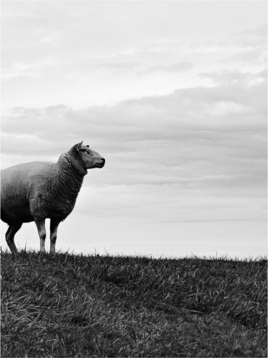 Main image Alles im Blick