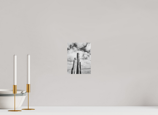 15 x 20 cm, Monochrom, Alu-Dibond, glänzend Aufrecht