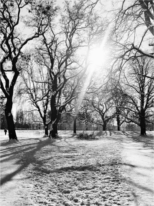 Main image Winterlicht