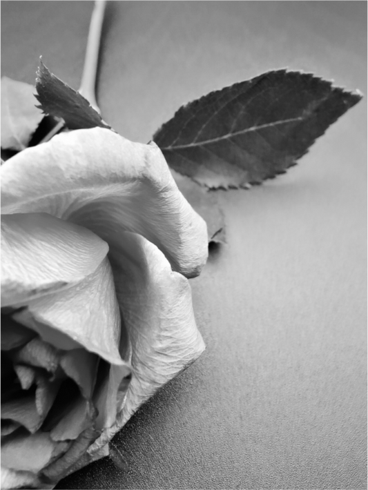 Main image Half Rose